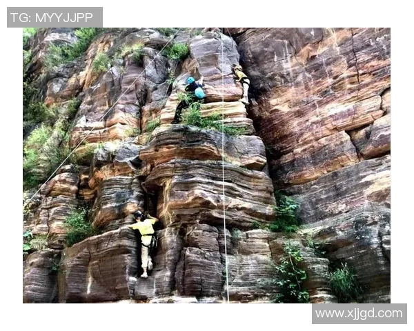 最新攀岩团队协作榜单揭晓北京攀岩队稳居第一名