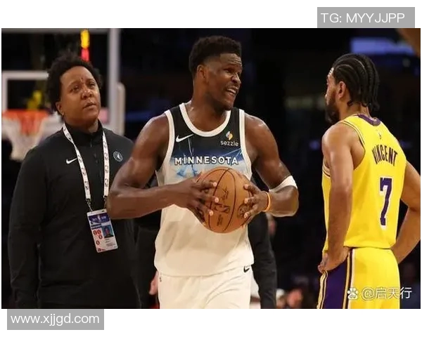 森林狼签下前湖人小前锋，球队实力大增